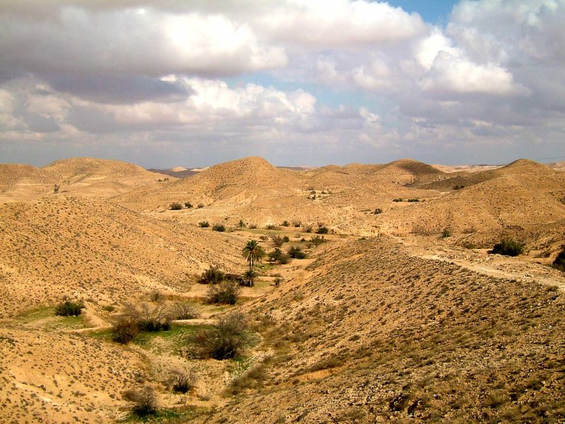 Tunis0748.jpg