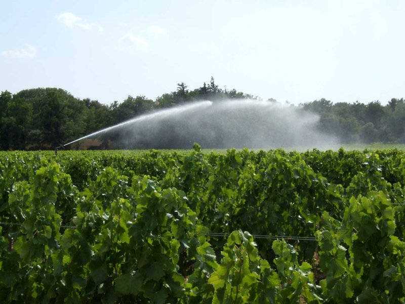 Water2908.jpg