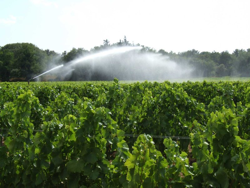Water2909.jpg