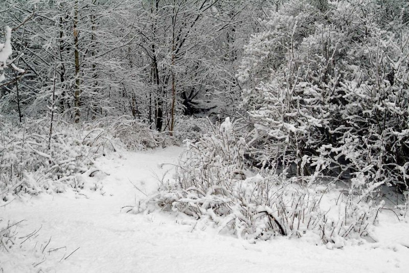 Winterlandschap444.jpg