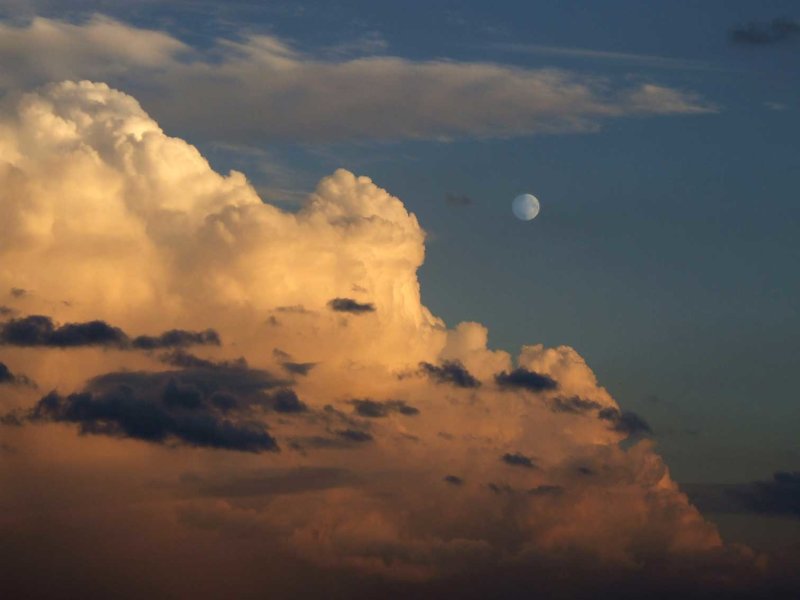 Wolk2765.jpg