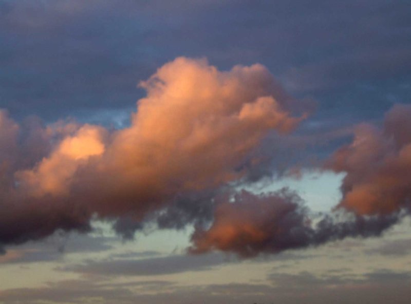 Wolk2775.jpg