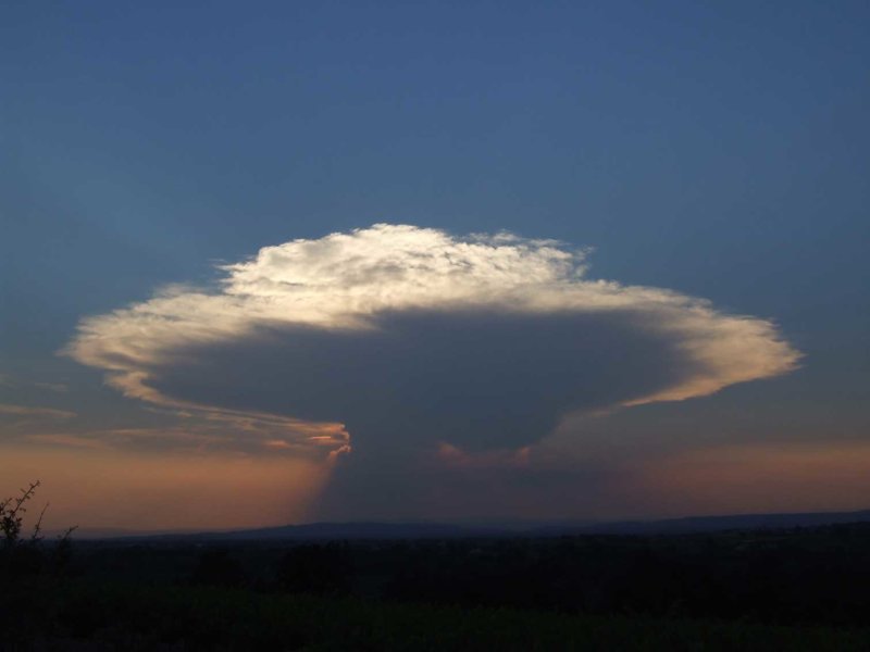 Wolk2783.jpg