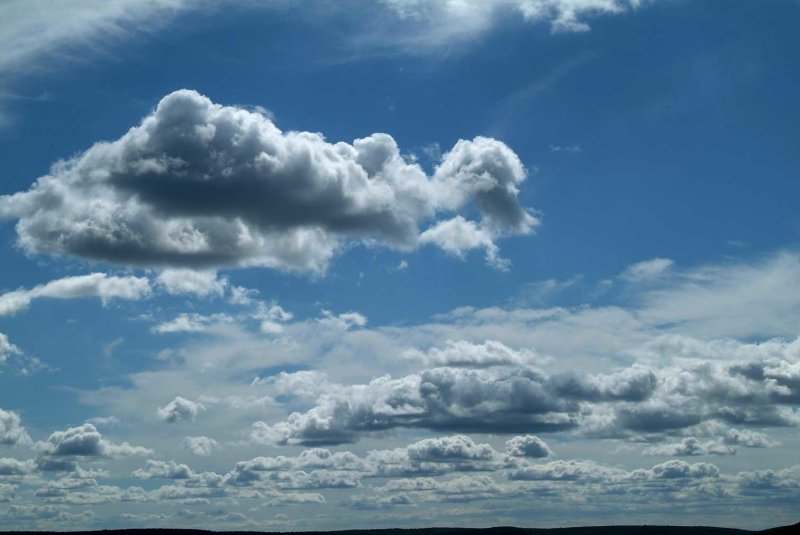 Wolk3066.jpg