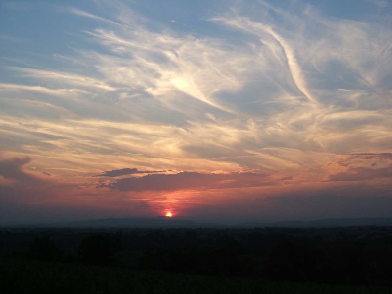 Zon2511.jpg