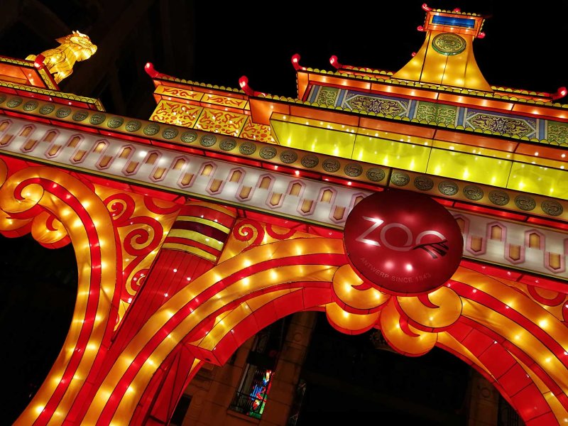 China-Light-55.jpg