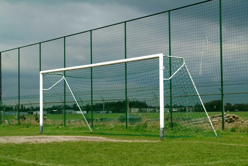 Goal-3825.jpg