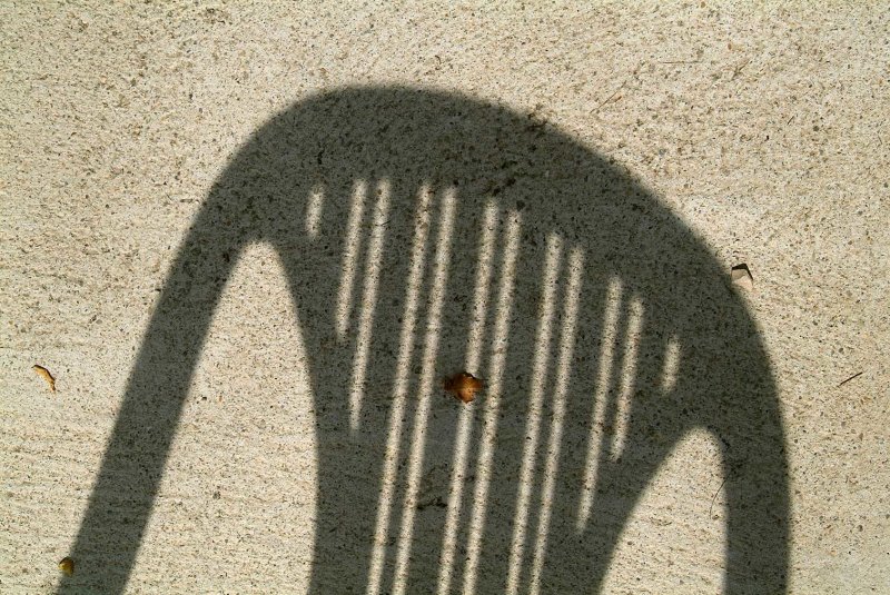 Shadow1302.jpg