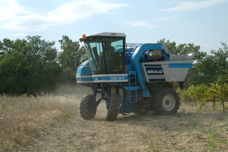 Vendange2304.jpg