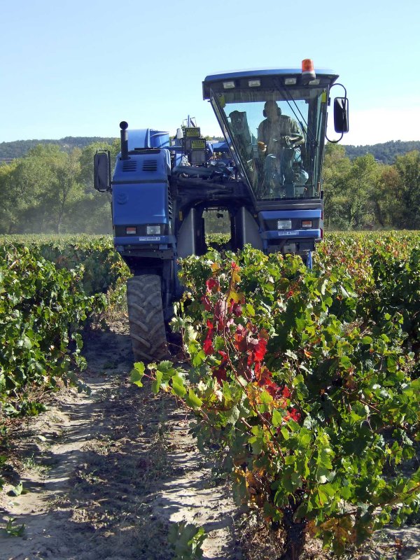 Vendanges3234.jpg