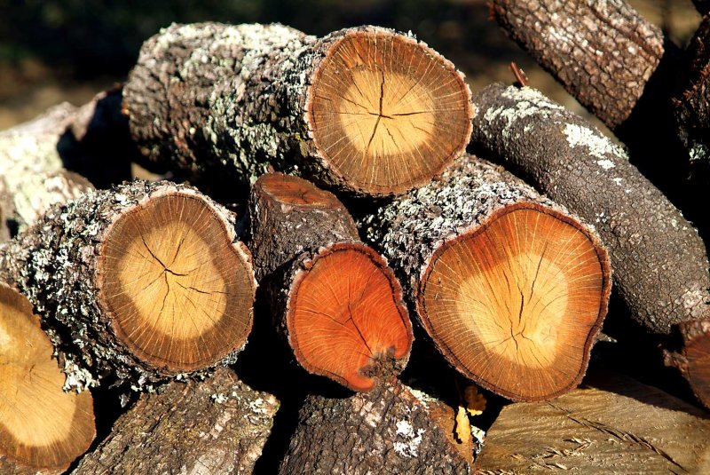 Wood8718.jpg