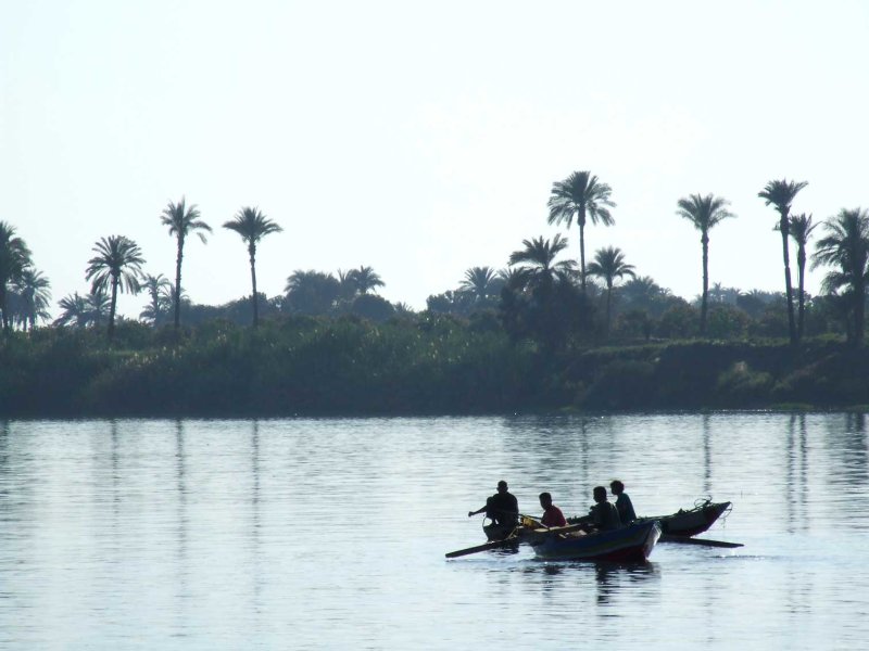 Egypx0610.jpg