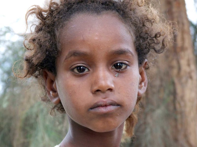 Egypx0800.jpg
