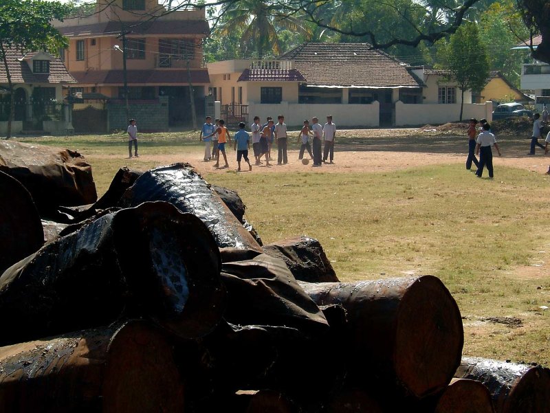 india-4869.jpg