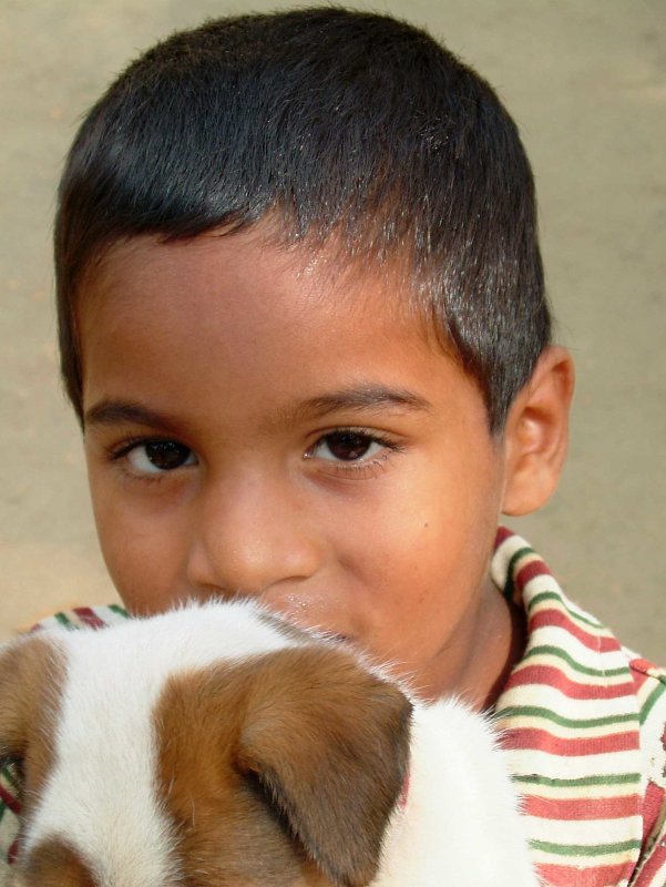 india-6990.jpg