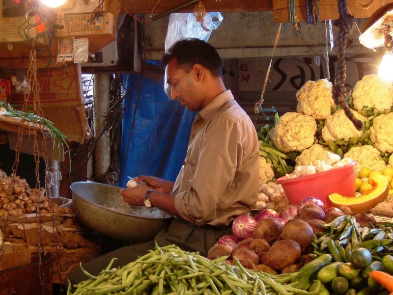 india-8389.jpg
