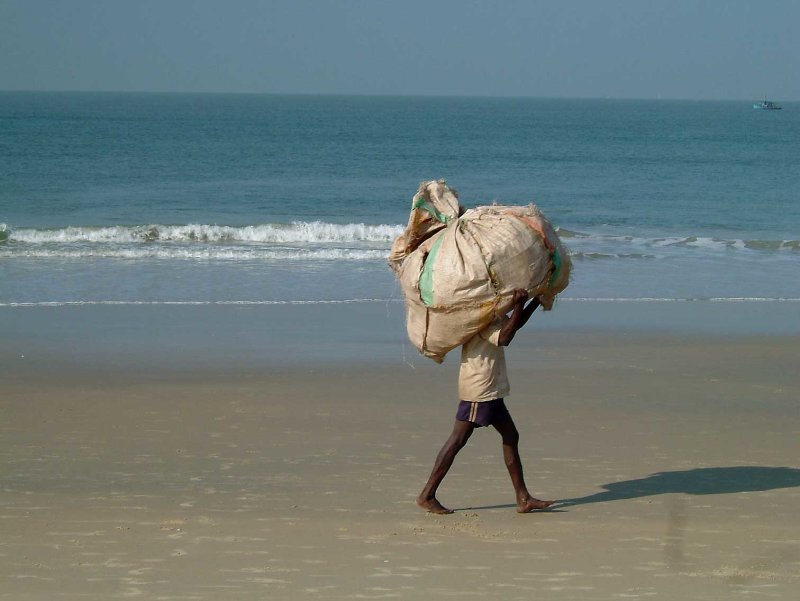 india-8568.jpg