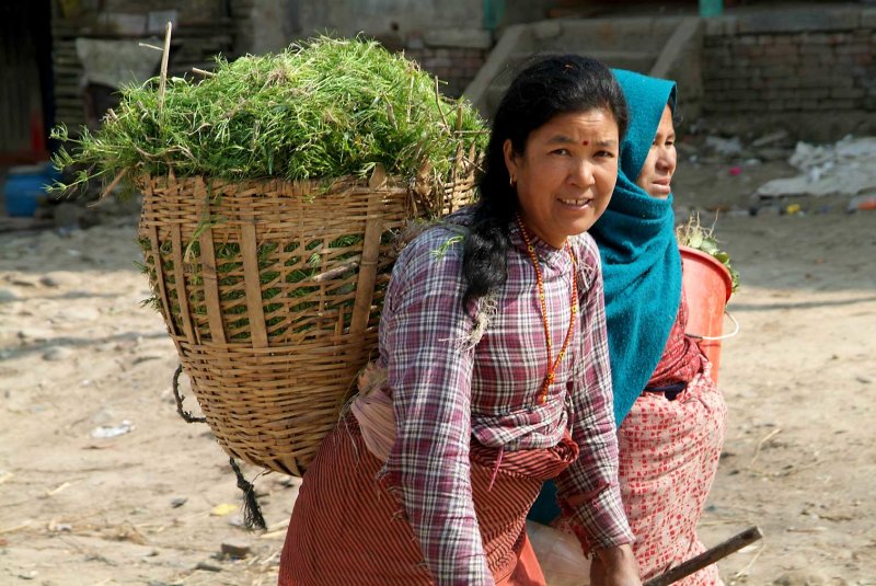 Nepal1961.jpg