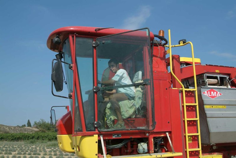 Vendange2091.jpg