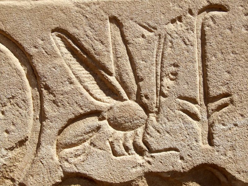 Egypt0649.jpg
