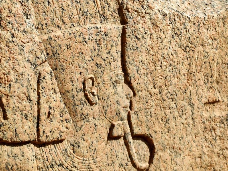 Egypt0824.jpg