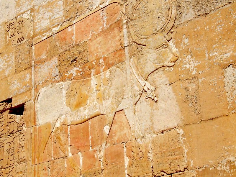 Egypx0171.jpg
