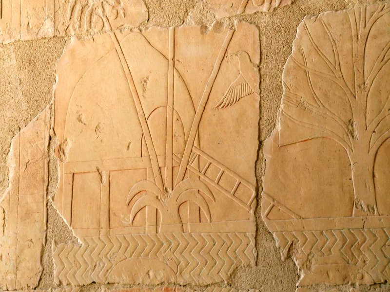 Egypx0206.jpg