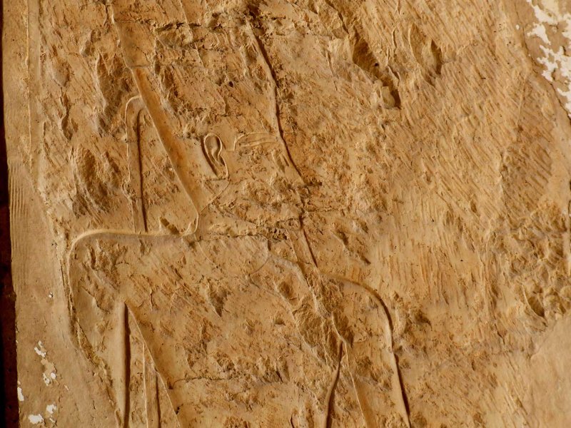 Egypx0210.jpg
