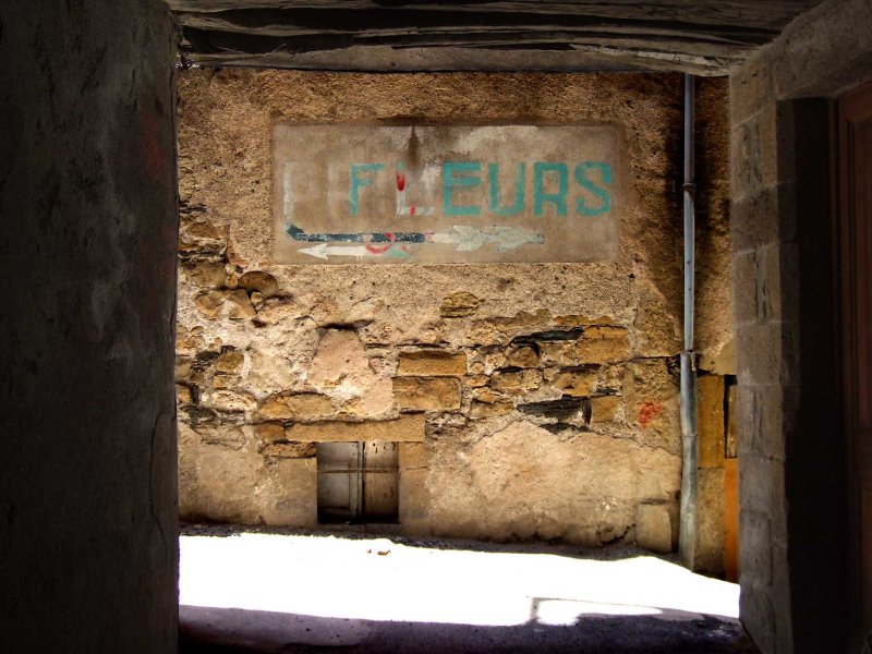 Fleurs2383.jpg