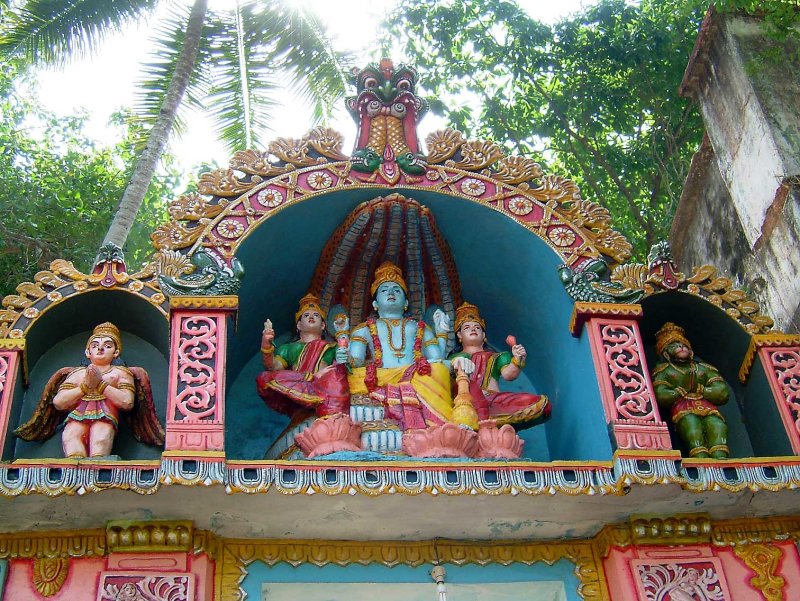 india-3101.jpg