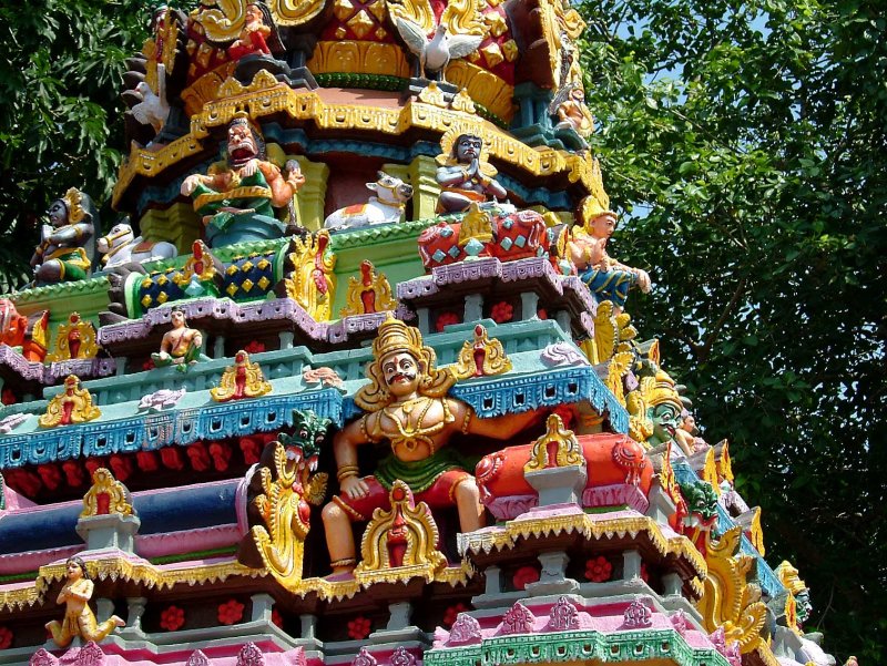 india-3172.jpg