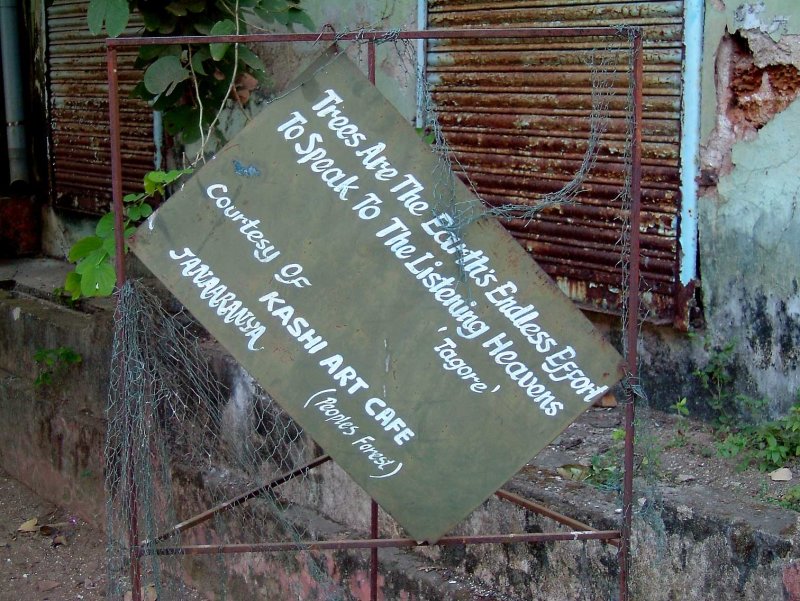 india-4751.jpg