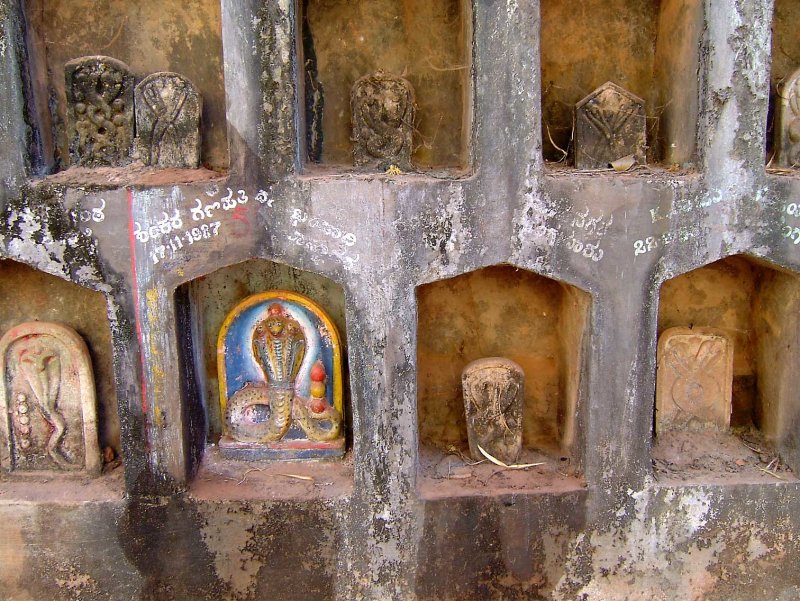 india-6087.jpg