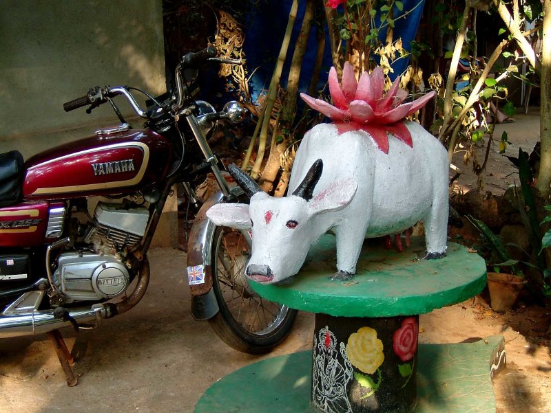 india-6604.jpg