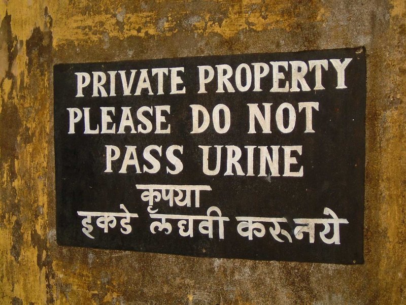 india-8437.jpg