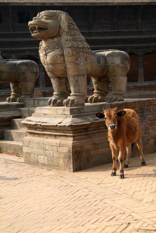 Nepal2869.jpg