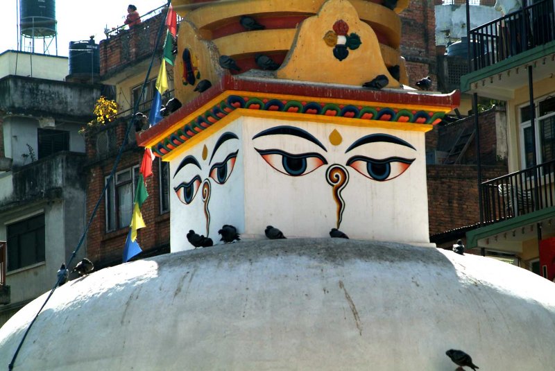Nepal9488.jpg