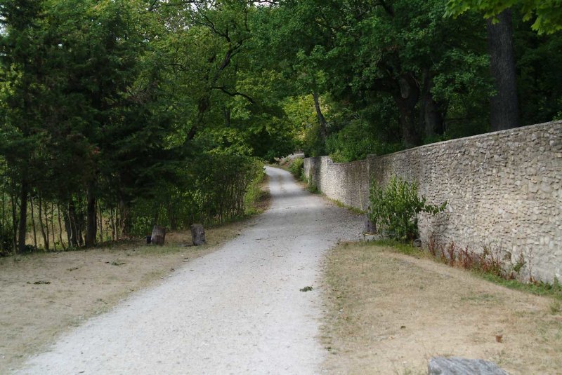 Wandelweg.jpg