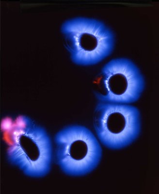 Kirlian-fotografie.jpg