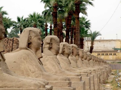 Egypt1470.jpg