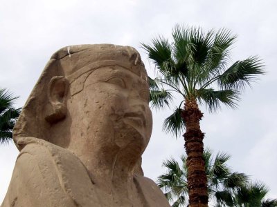 Egypt1478.jpg