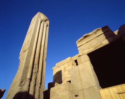 Lotusbloem-egypte.jpg