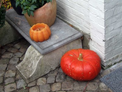 Pumpkin3289.jpg