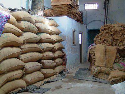 india-5232.jpg