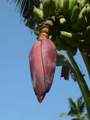 india-9548.jpg