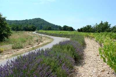 Landschap-Frankrijk.jpg