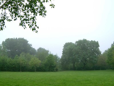 Park-mist-55.jpg