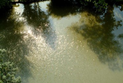 Water-reflectie88.jpg