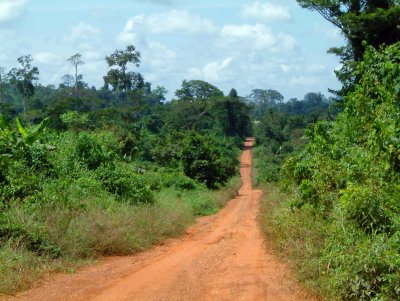 African-road557.jpg