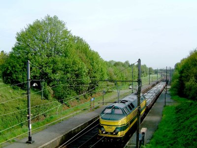 Trein44.jpg